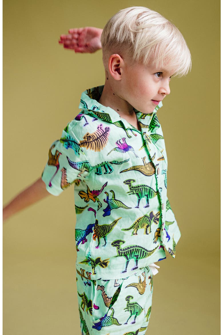 Kids' Dino Print Shirt, Alternate, color, DINO AQUA