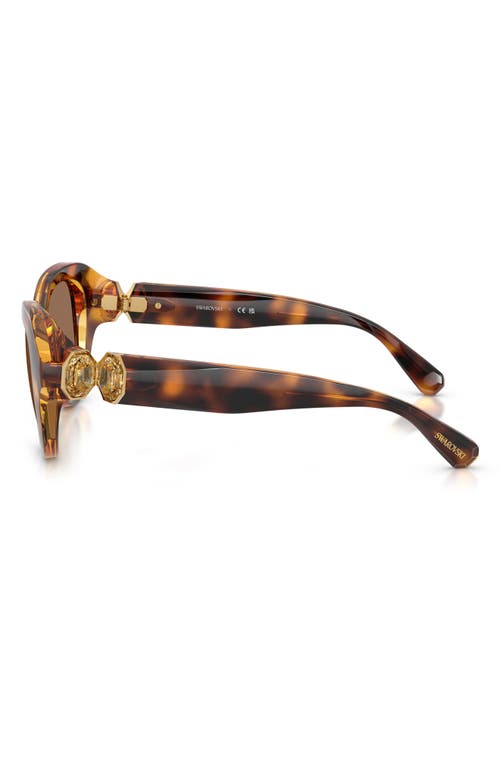 Swarovski 50mm Small Round Sunglasses In Brown