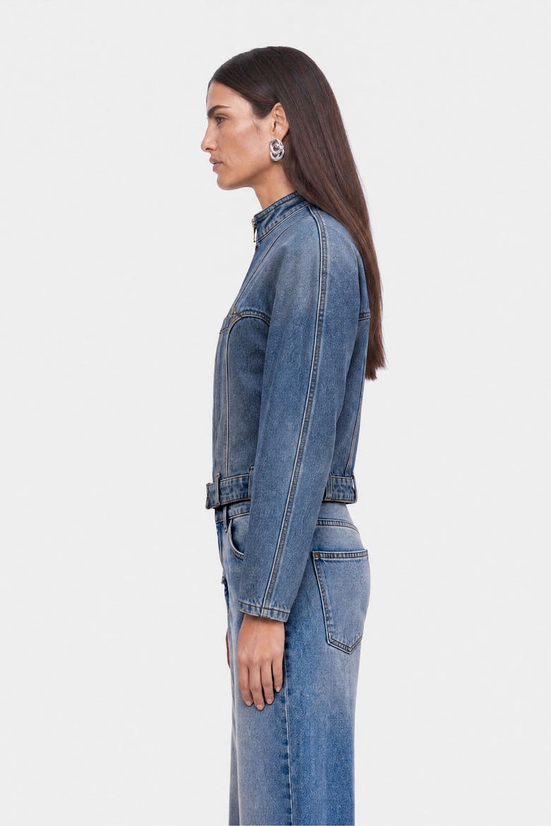 Stand Collar Denim Jacket, Alternate, color, Blue