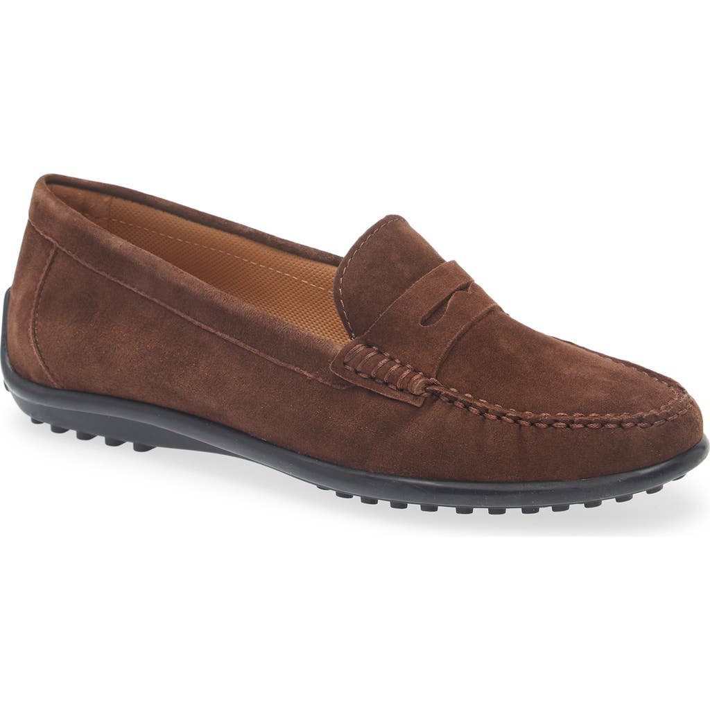 The Flexx Winter Driving Shoe In Brown