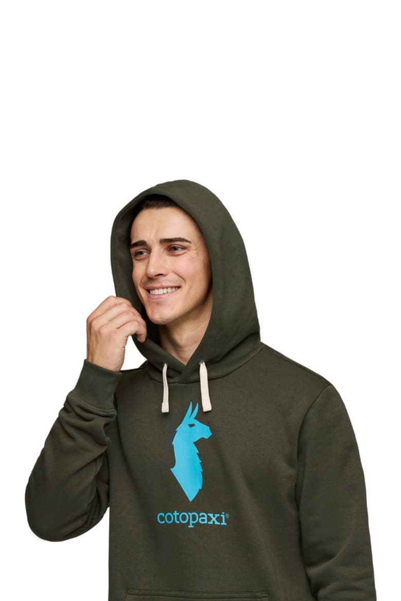 Llama Pullover Hoodie - Men's, Alternate, color, Woods