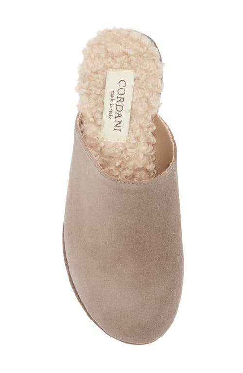 Cordani Camryn Platform Wedge Mule In Brown