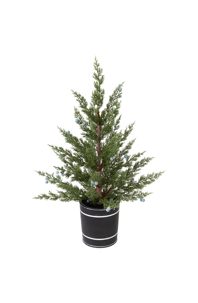 Northlight Potted Pine and Juniper Berry Artificial Christmas Tree - 23" - Unlit, Alternate, color, Green