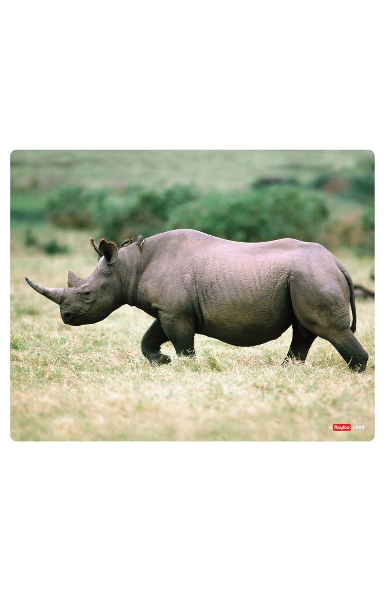 Roylco What
s Inside Animals?, Alternate, color, Multicolor