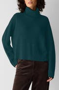 Eileen Fisher Merino Wool Turtleneck Sweater