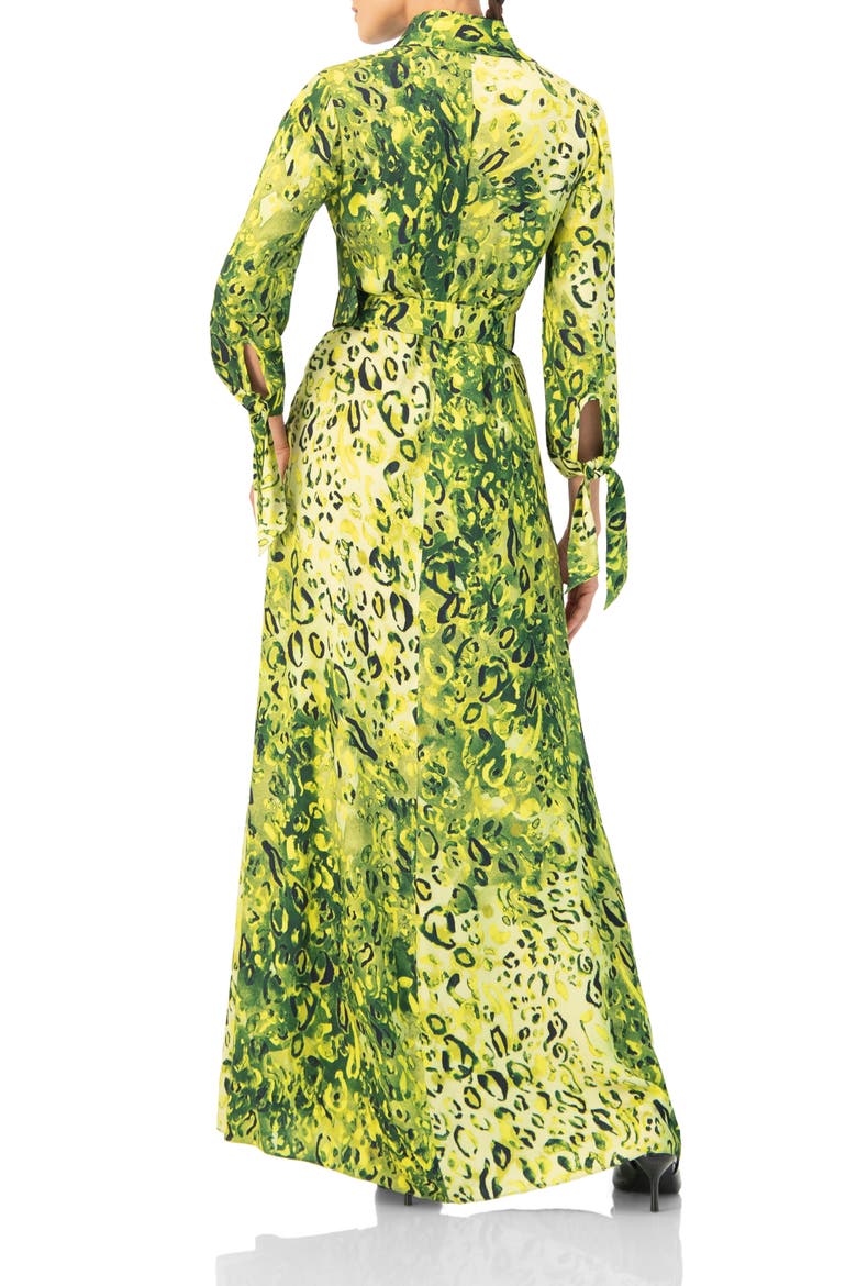 Long Sleeve Printed Maxi Shirt Dress, Alternate, color, Green