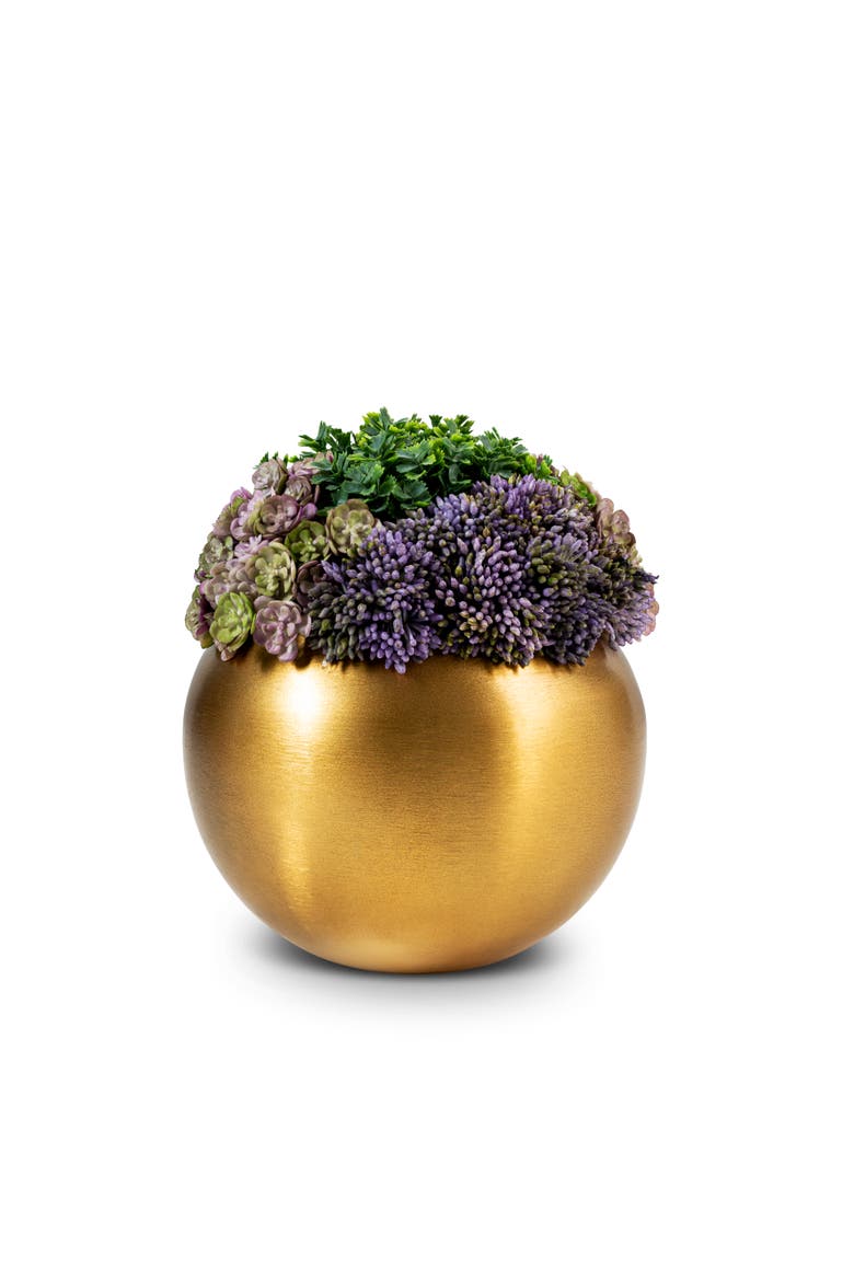 Valencia Gold Sedum, Alternate, color, Gold