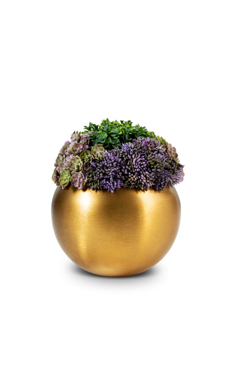 CocoBella Valencia Gold Sedum, Alternate, color, Gold