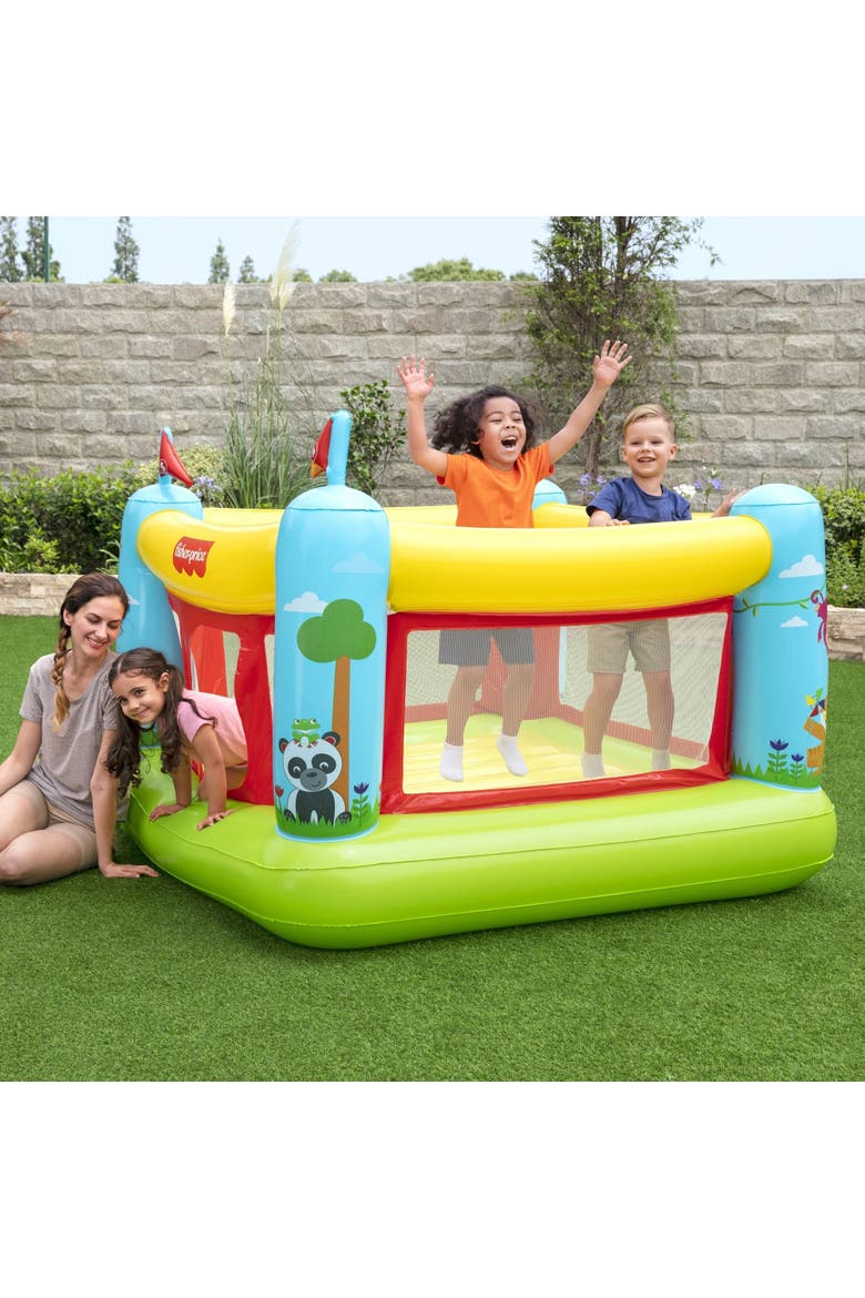 Fisherprice Bouncetastic Bouncer, Alternate, color, Multicolored