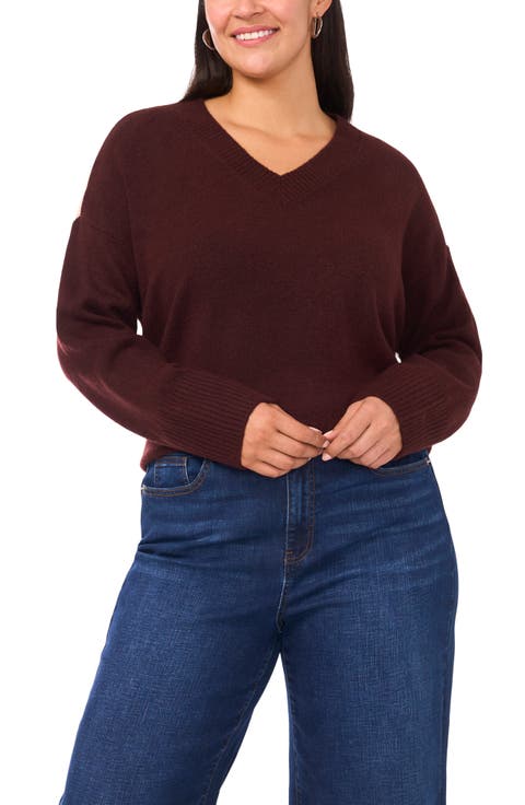 Colorblock V-Neck Sweater (Plus)