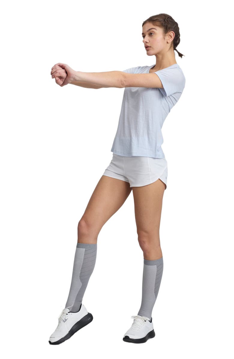 COZY ZERO Women's 100% Merino Lightweight Tee, Alternate, color, Light Gray