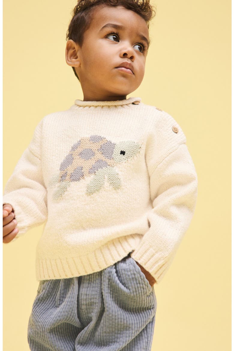 Kids' Turtle Sweater, Alternate, color, CREAM