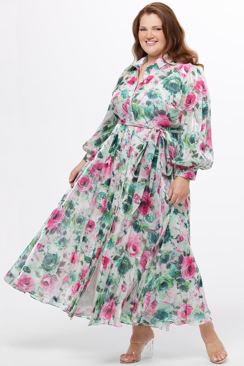Long Sleeve Floral Button Down Plus Size Dress, Alternate, color, Floral