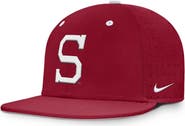 Nike Men's Nike Cardinal Stanford Cardinal On-Field Dugout True Performance Fitted Hat