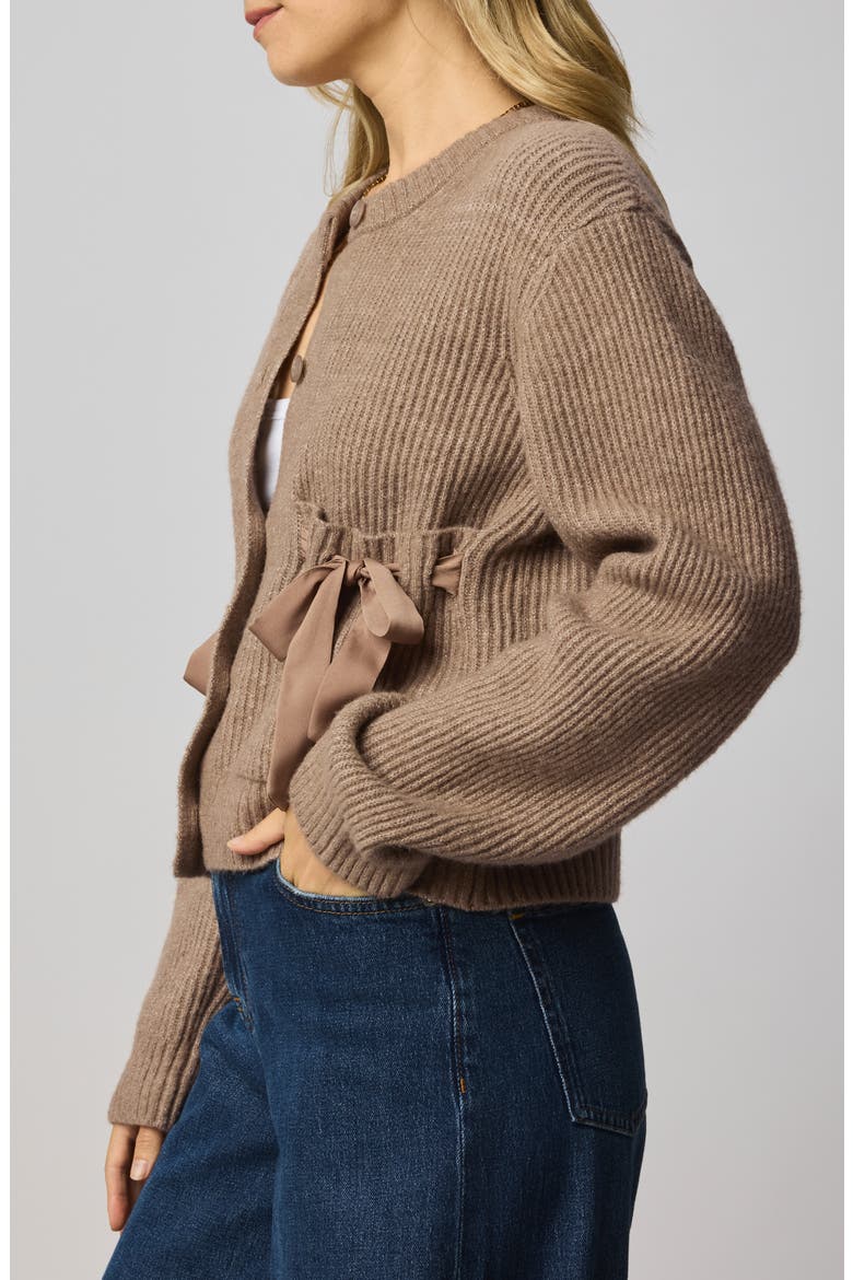 Stassi Satin Tie Cardigan, Alternate, color, MACCHIATO BROWN HEATHER