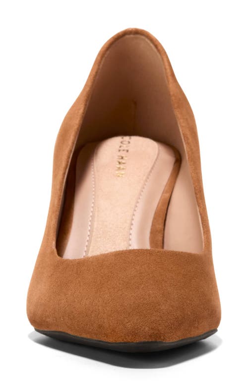 Cole Haan Vivica Pointed Toe Pump In Brown
