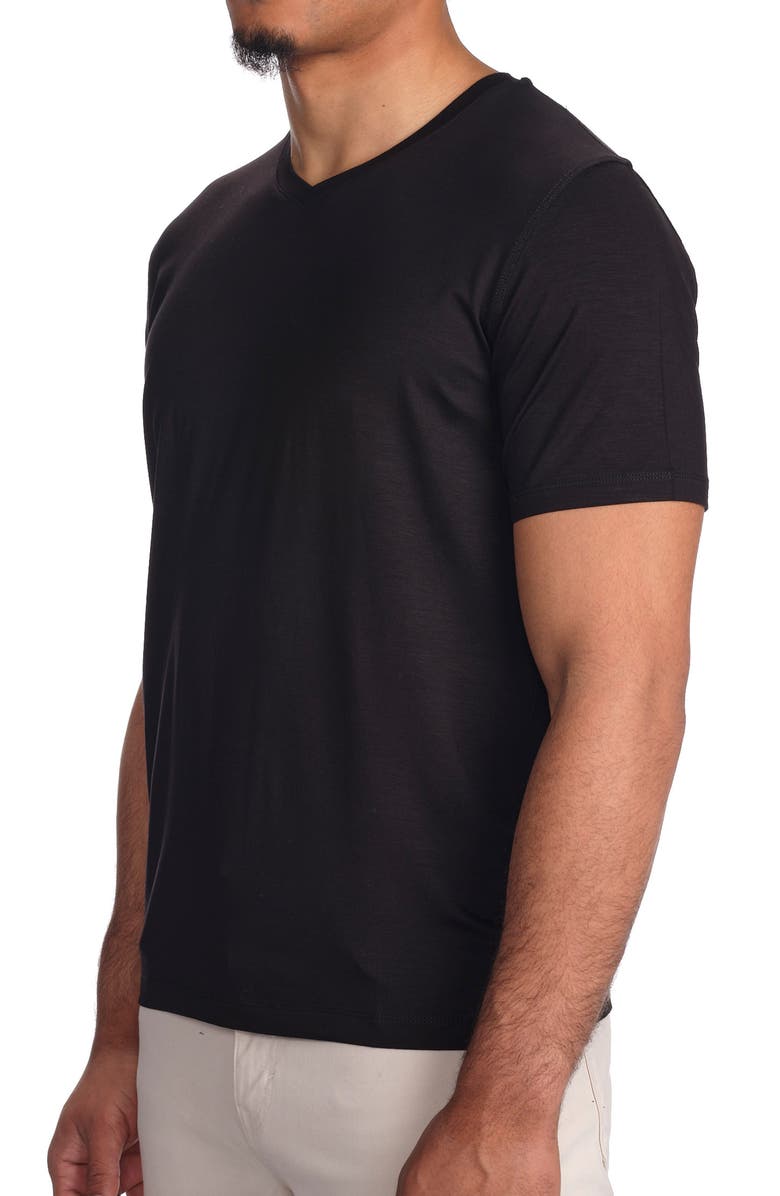 STUDIO GARNET LOS ANGELES V-Neck Stretch Modal T-Shirt, Alternate, color,