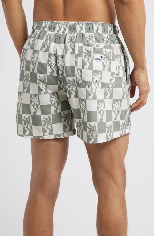 BOARDIES BOARDIES CLARA PALM TREE CHECKERBOARD PRINT MID LENGTH SWIM TRUNKS