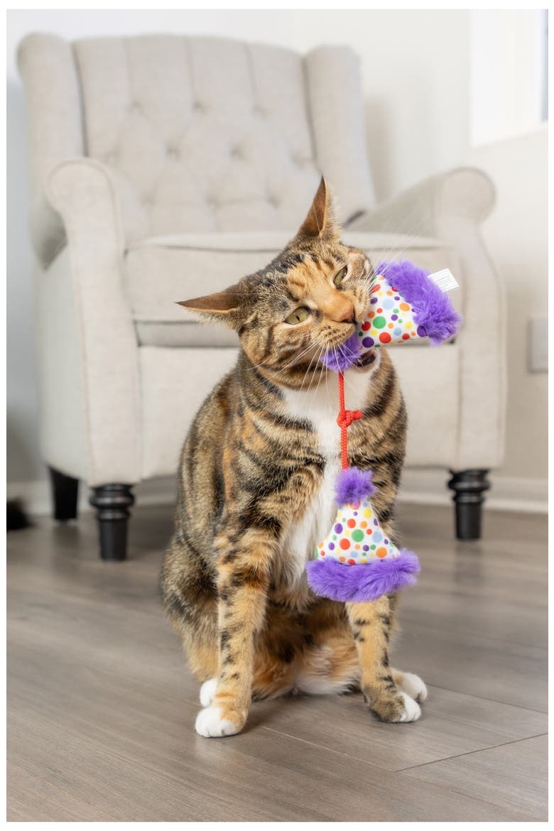 2-Pack Cat Party Hat Toys, Alternate, color, PURPLE