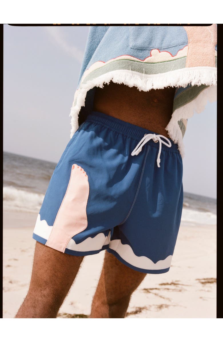 Tombolo 'Tom Wesselmann - Seascape #2' Swim Trunks, Alternate, color, Blue