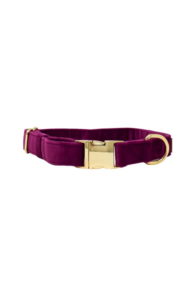 August Dog Collar, Main, color, August