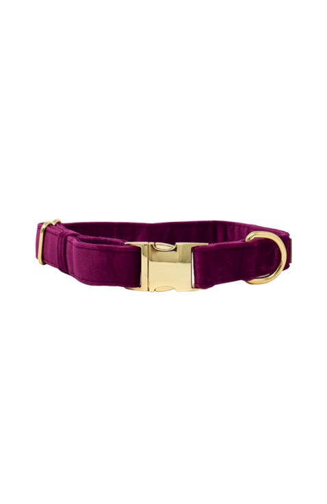 August Dog Collar