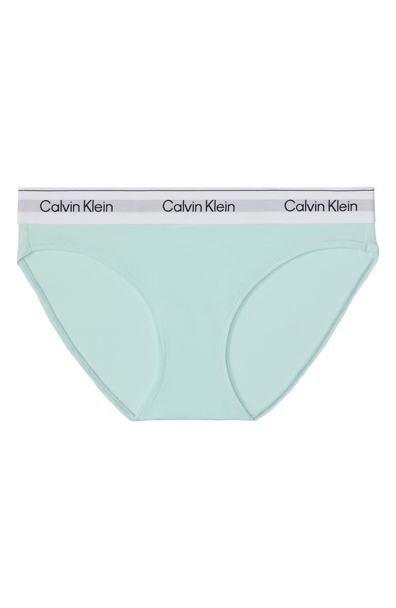 Calvin Klein Logo Bikini, Alternate, color, Feel The Mint