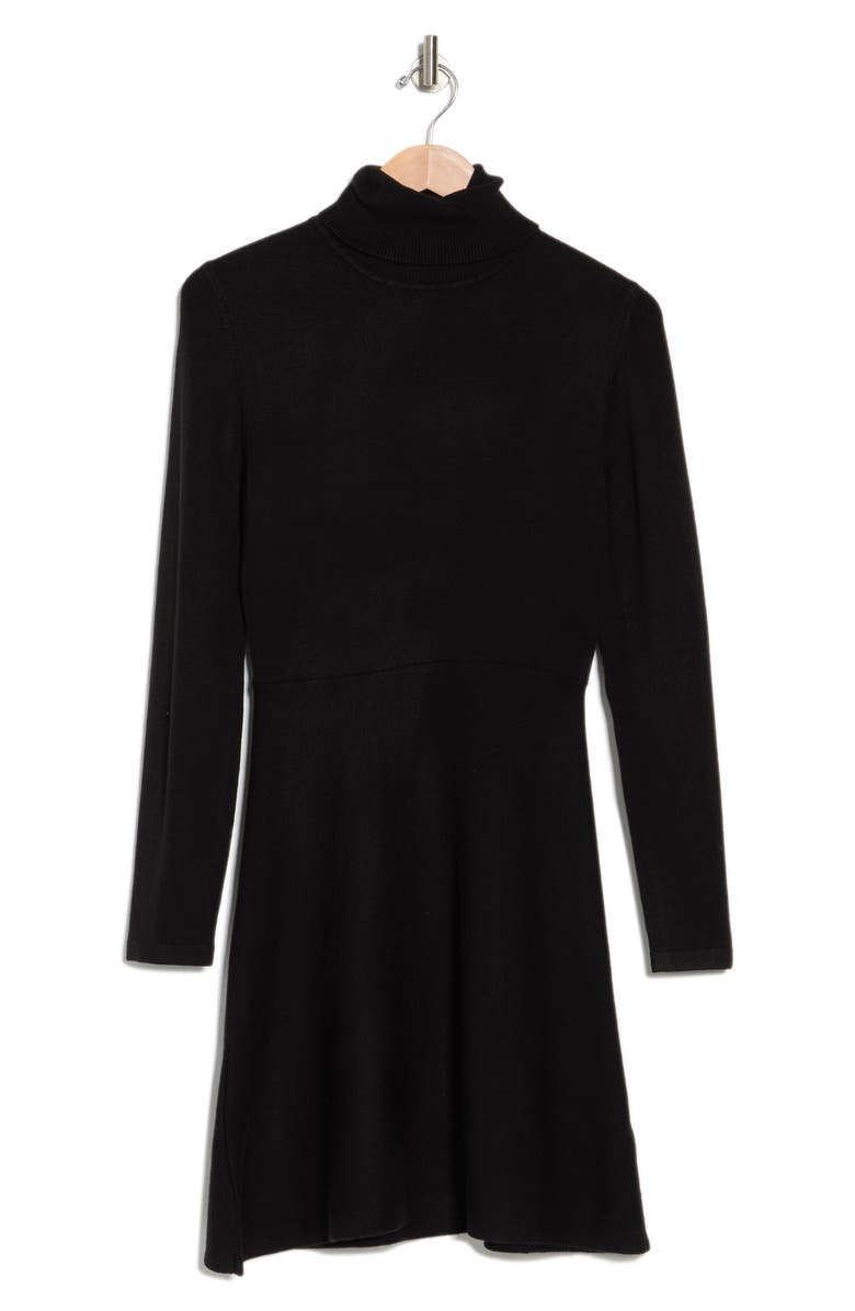 French Connection Turtleneck Fit & Flare Sweater Dress, Alternate, color, 