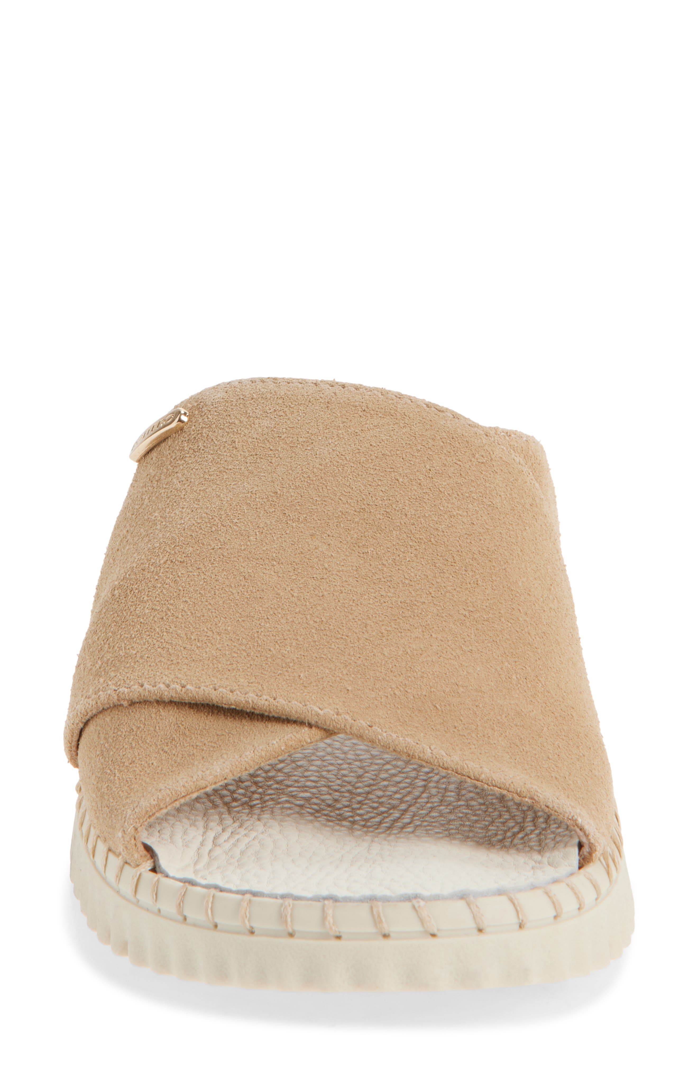 Bottero Botolga Flex Platform Wedge Slide Sandal, Alternate, color, 