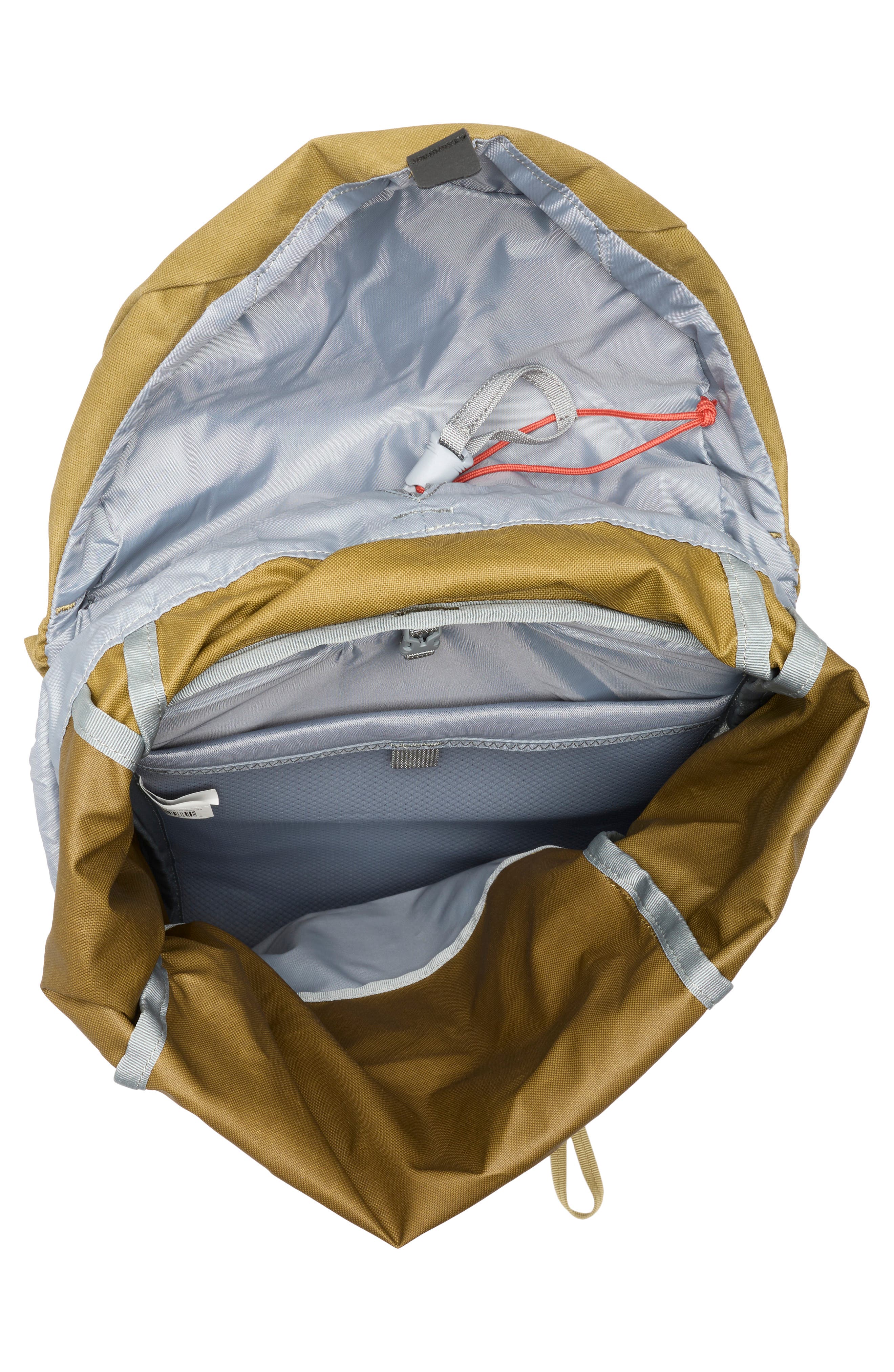 Thule AllTrail X 25-Liter Hiking Bag, Alternate, color, Nutria