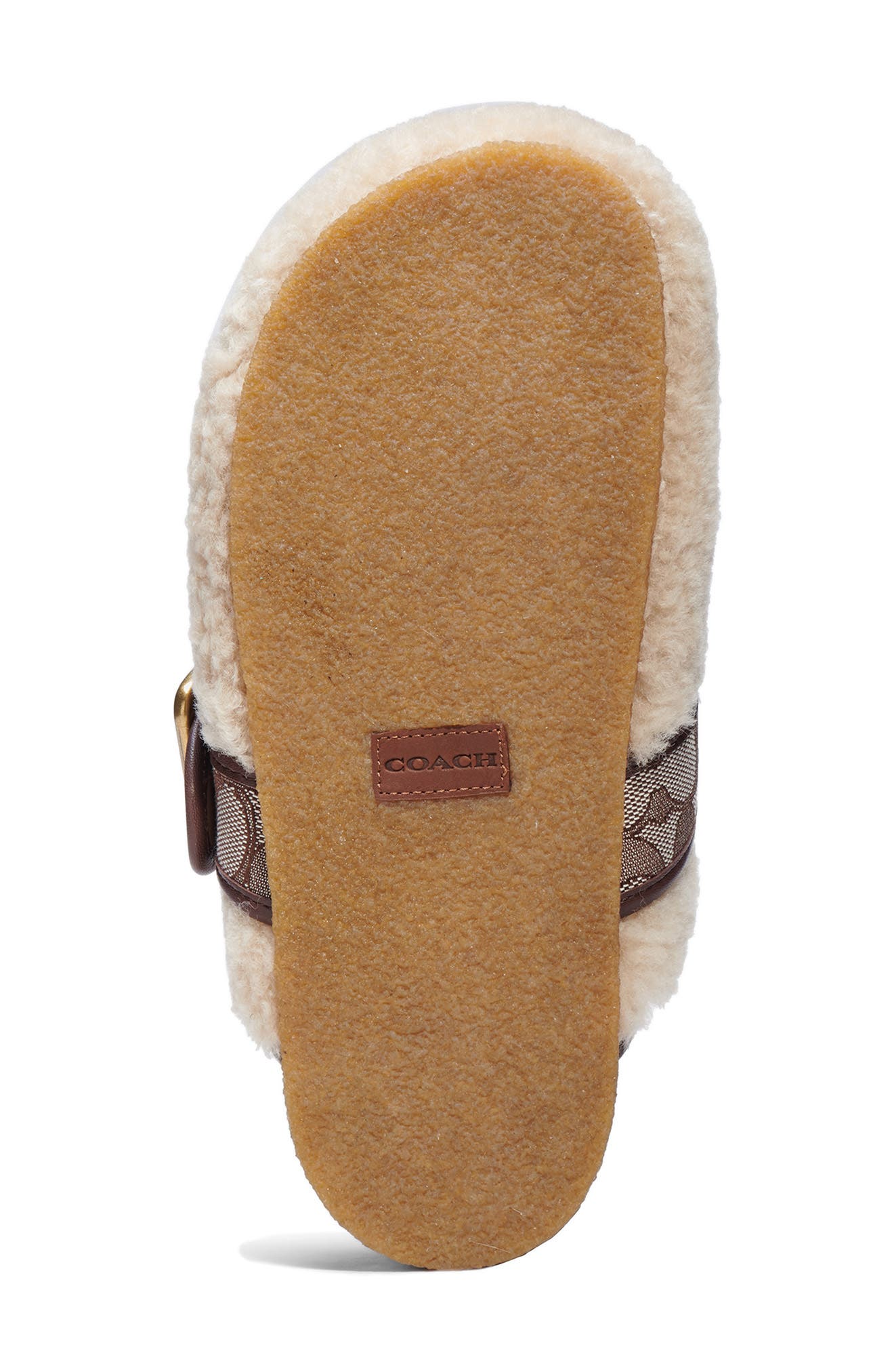 COACH Genuine Shearling Clog, Alternate, color, 