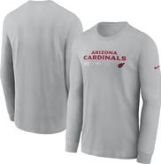 Nike Men's Nike Gray Arizona Cardinals Sideline Infograph Lock Up Performance Long Sleeve T-Shirt