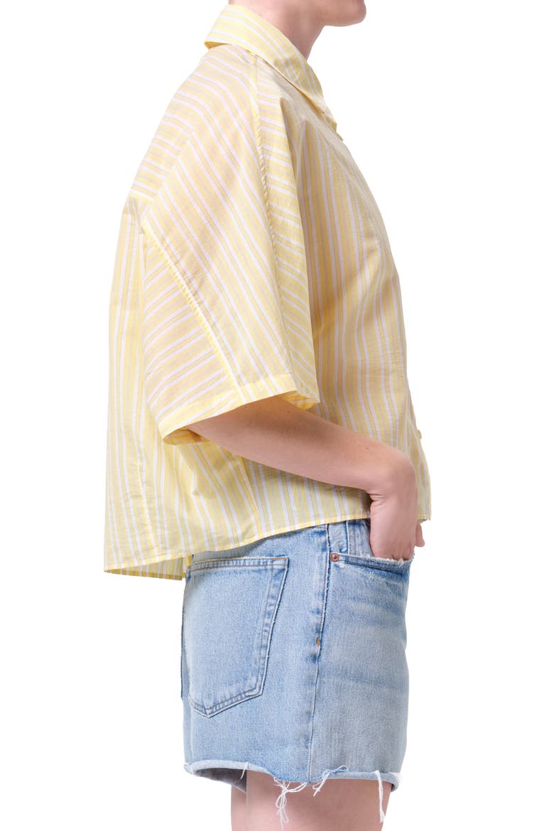 Merrin Stripe Boxy Cotton & Nylon Poplin Button-Up Shirt, Alternate, color, WIRREL STRIPE