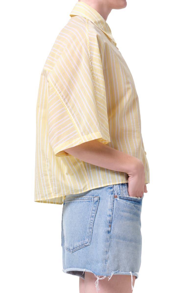 AGOLDE Merrin Stripe Boxy Cotton & Nylon Poplin Button-Up Shirt, Alternate, color, Wirrel Stripe