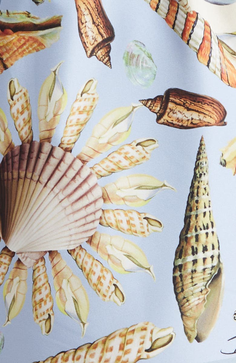 Dolce&Gabbana Shell Print Swim Trunks, Alternate, color, Hc5pk Conchiglie F.celeste