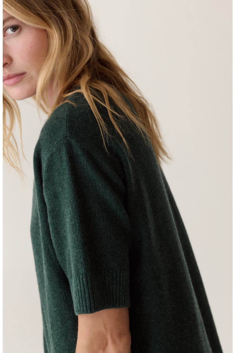 Chalet Short Sleeve Sweater, Alternate, color, PINE