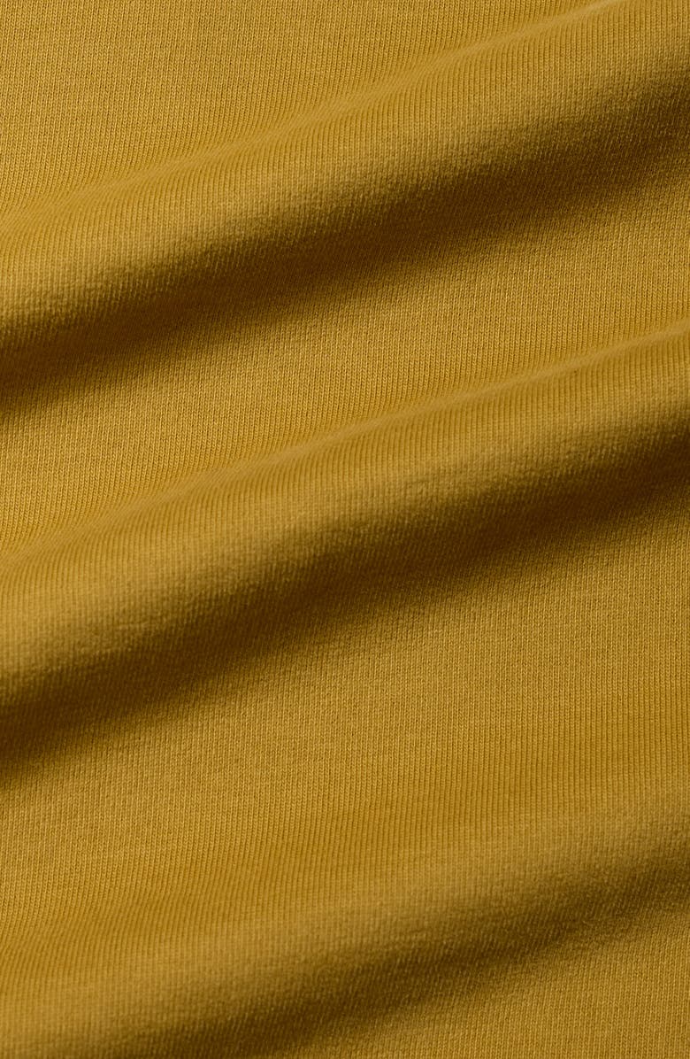 Seasalt Cornwall Porthzennor Organic Cotton T-Shirt, Alternate, color, Pear