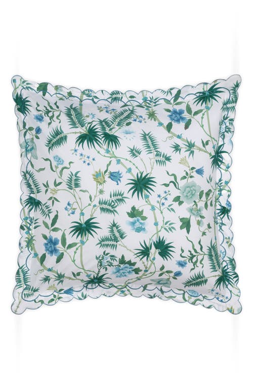 Matouk Palmyra Cotton Percale Sham In Green