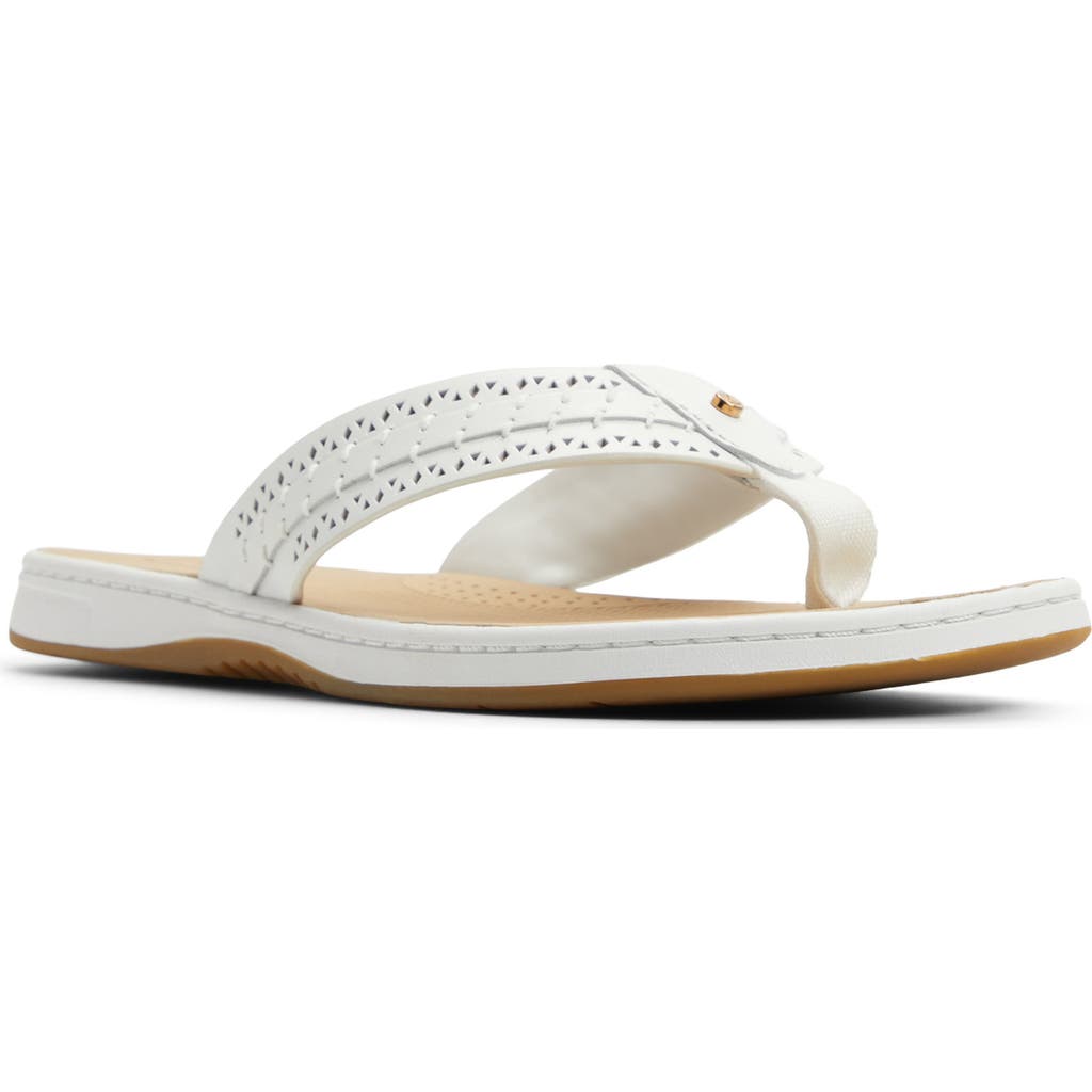 SPERRY SPERRY SEAFISH 3 PERFORATED FLIP FLOP