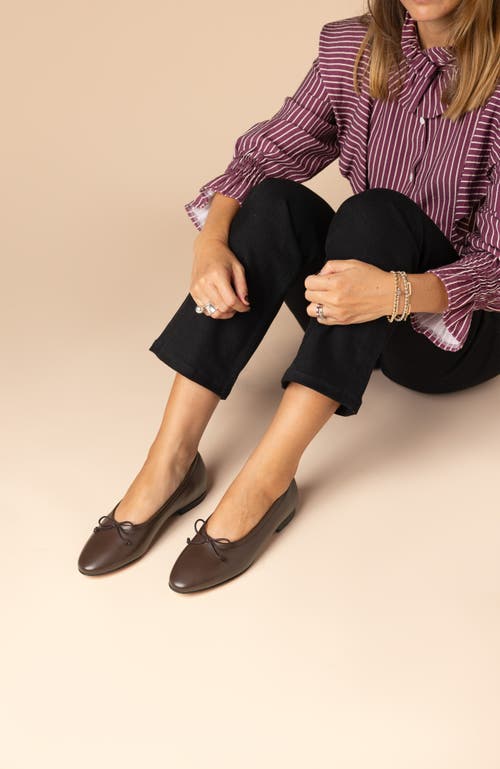 Menina Step Amelie Leather Ballet Flat In Brown