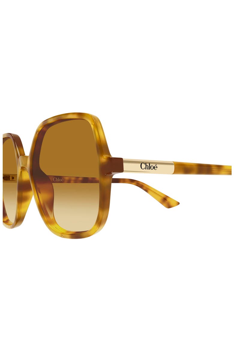 55mm Gradient Geometric Sunglasses, Alternate, color, HAVANA