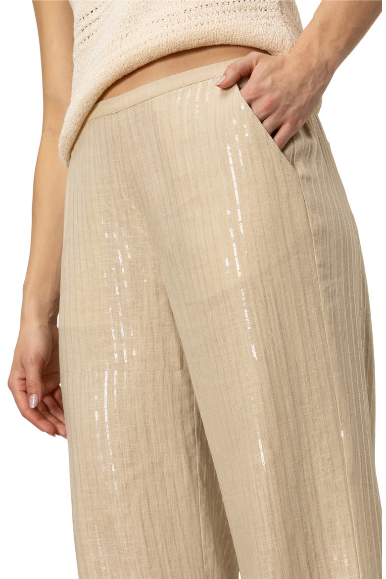 Coastal Sequin Stripe Pants, Alternate, color, SAND SEQUIN