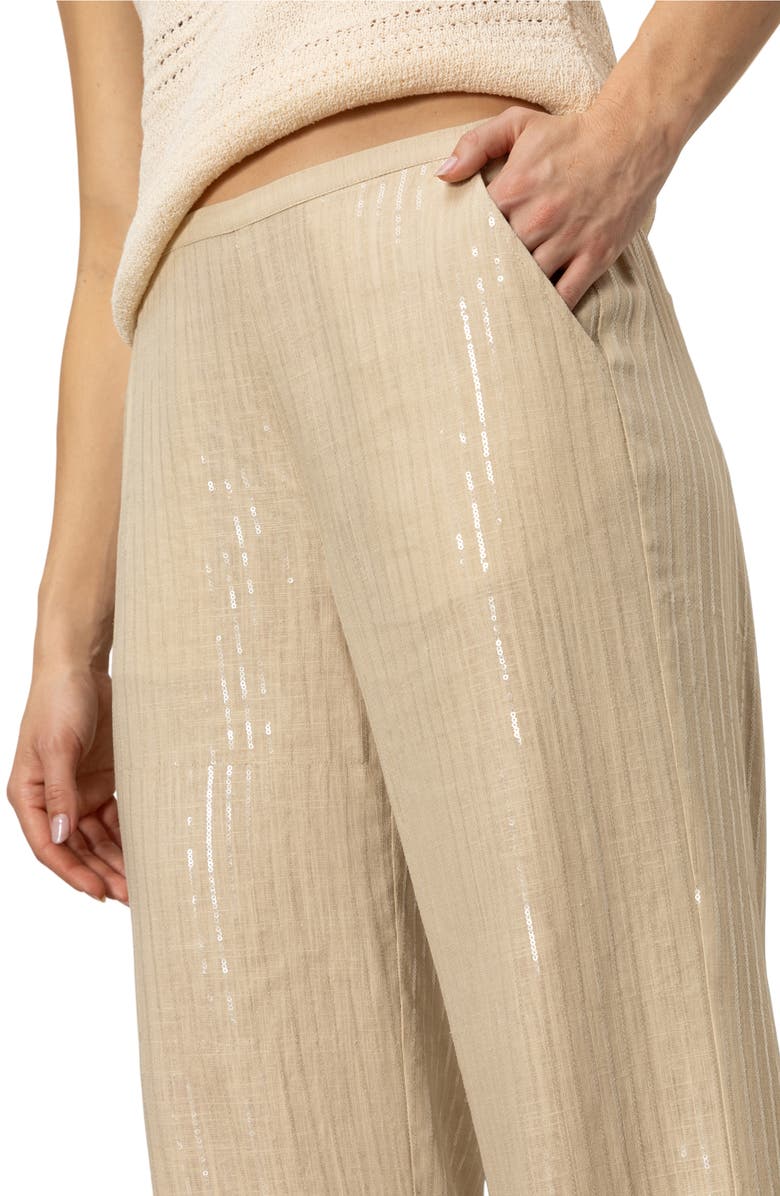 Sanctuary Coastal Sequin Stripe Pants, Alternate, color, Sand Sequin