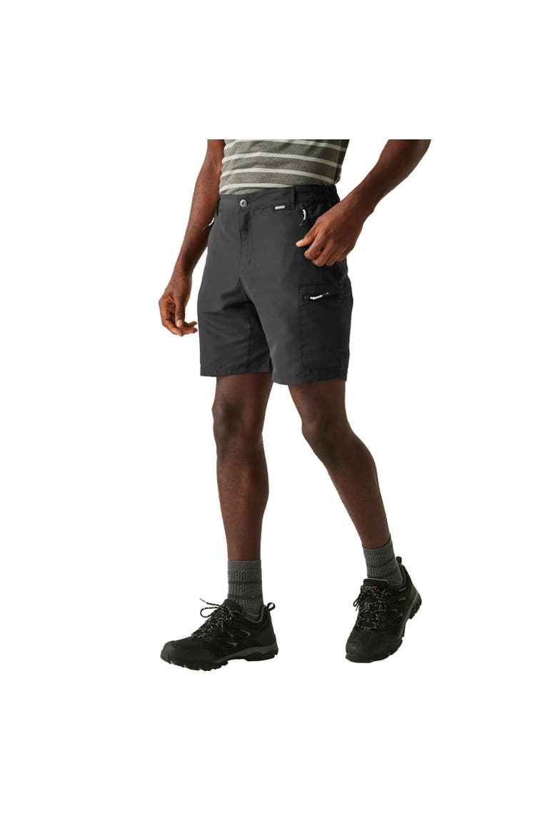 Leesville Iii Shorts, Alternate, color, Ash