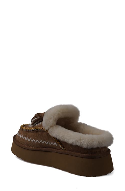 Zigi Faux Fur Platform Bootie In Tan Suede