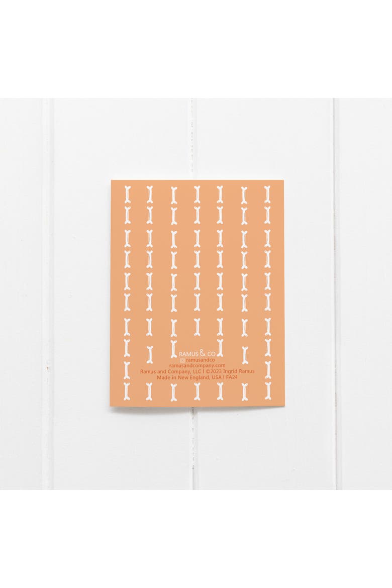 Fall/Halloween Greeting Card Pack Sets (3 ct) Cat Bone Pajamas, Alternate, color, Multi-Pack