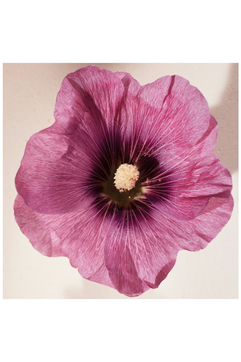 Atelier des Fleurs Hibiscus Abelmoschus Eau de Parfum, Alternate, color, NO COLOR