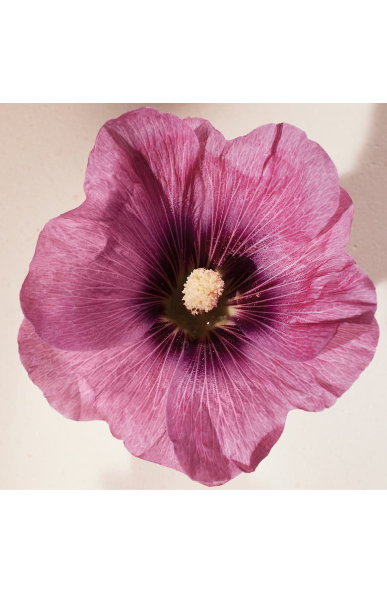 Chloé Atelier des Fleurs Hibiscus Abelmoschus Eau de Parfum, Alternate, color, 