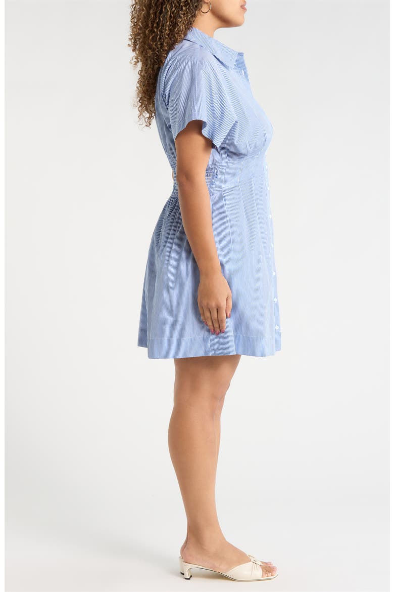 Pleated Dolman Sleeve Cotton Minidress, Alternate, color, BLUE-WHITE