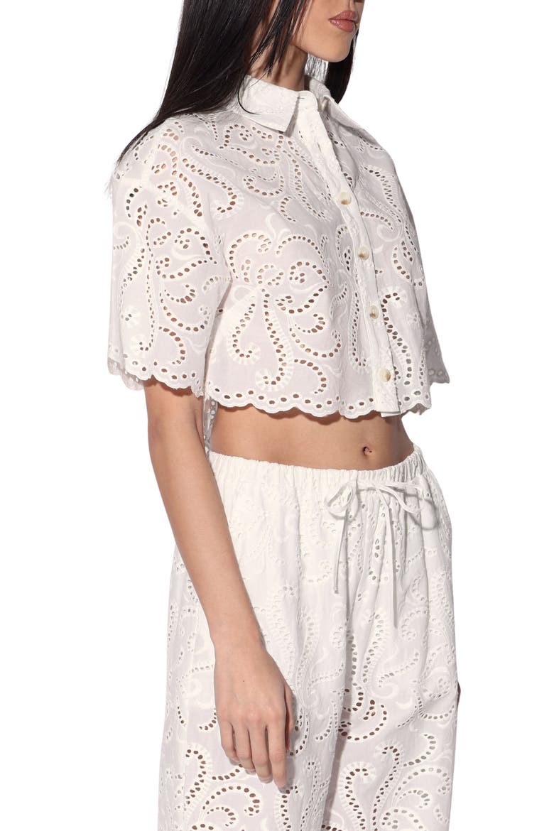 Cindy Eyelet Cropped Top, Alternate, color, WHITE